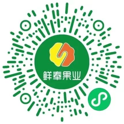 生鲜水果连锁
